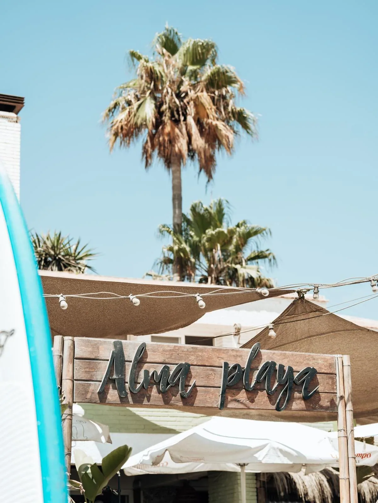 El cartel de Alma Playa entre las palmeras, bajo las velas de sombra