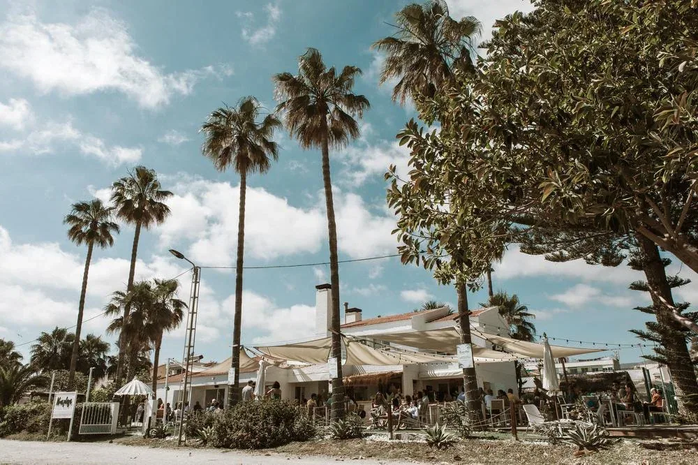 El restaurante entre palmeras, visto desde el paseo marítimo