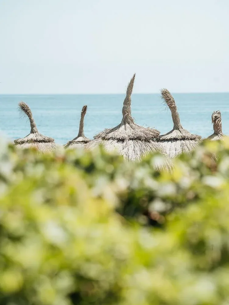 Las sombrillas de paja contra el mar
