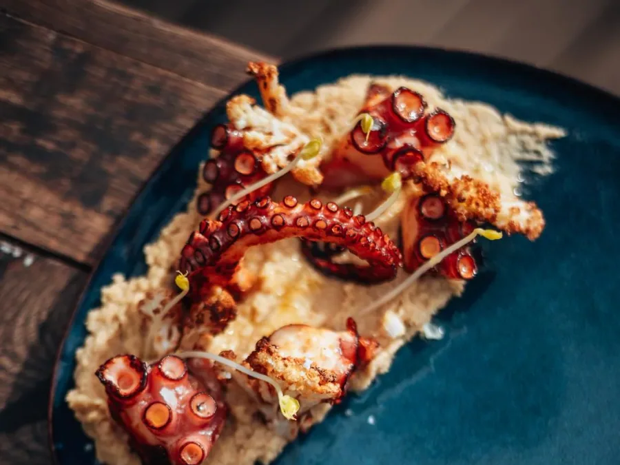 Pulpo asado sobre una base de hummus de mantequilla negra