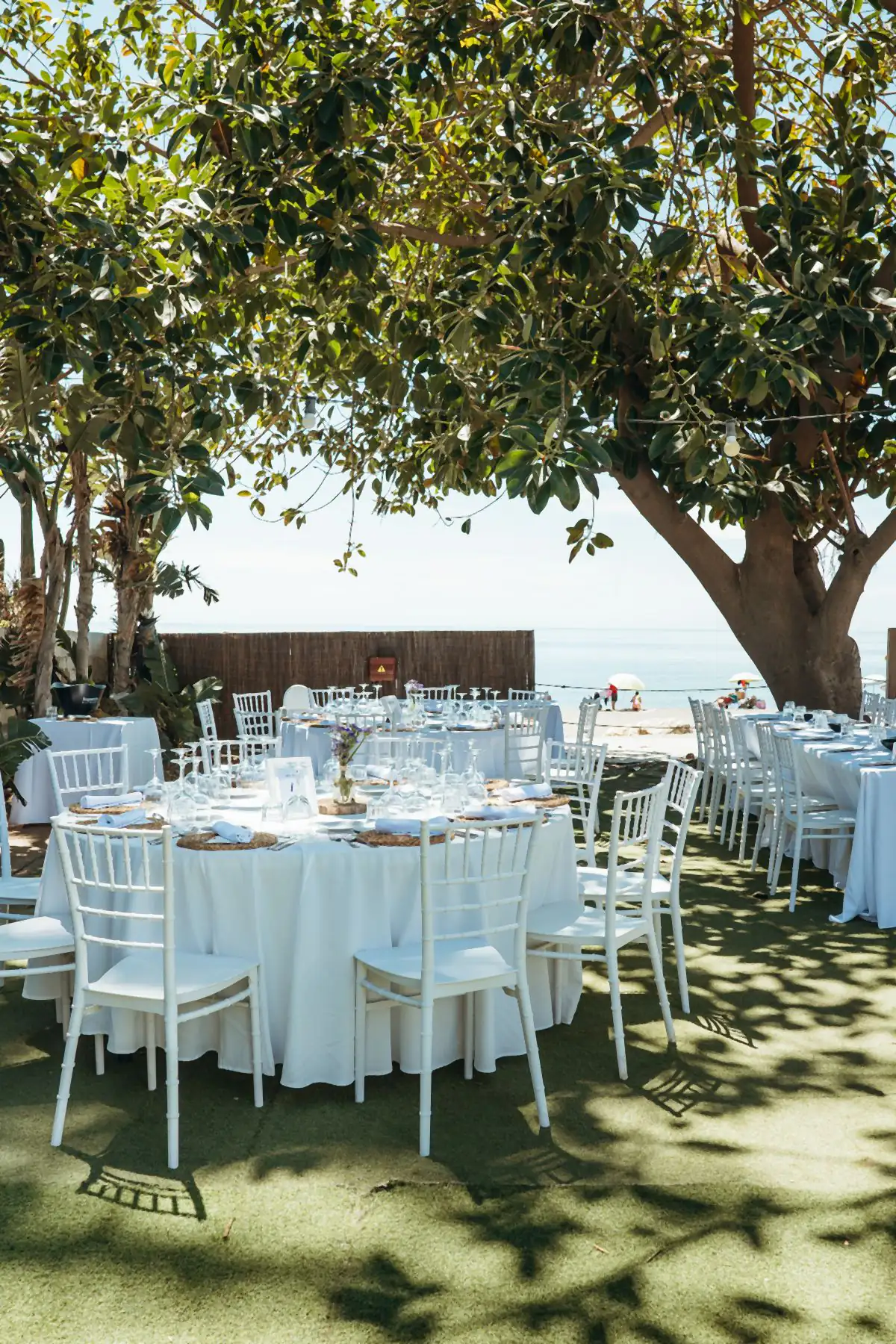 El jardín a la sombra del árbol grande, con el mar detrás